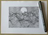 Thumbnail of plot 042