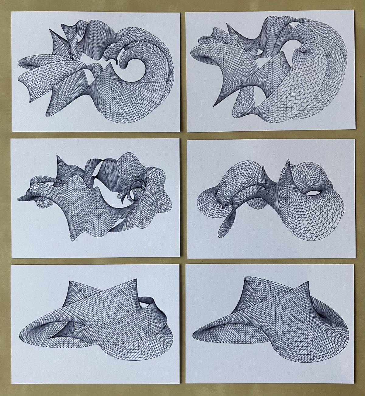 Mesh drawing of two looping, twisted ribbons.