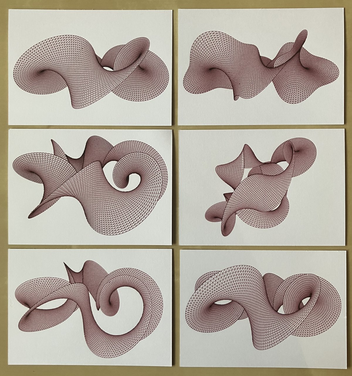 Mesh drawing of two looping, twisted ribbons.